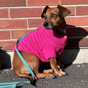 NWT Gap cotton crochet dog sweater